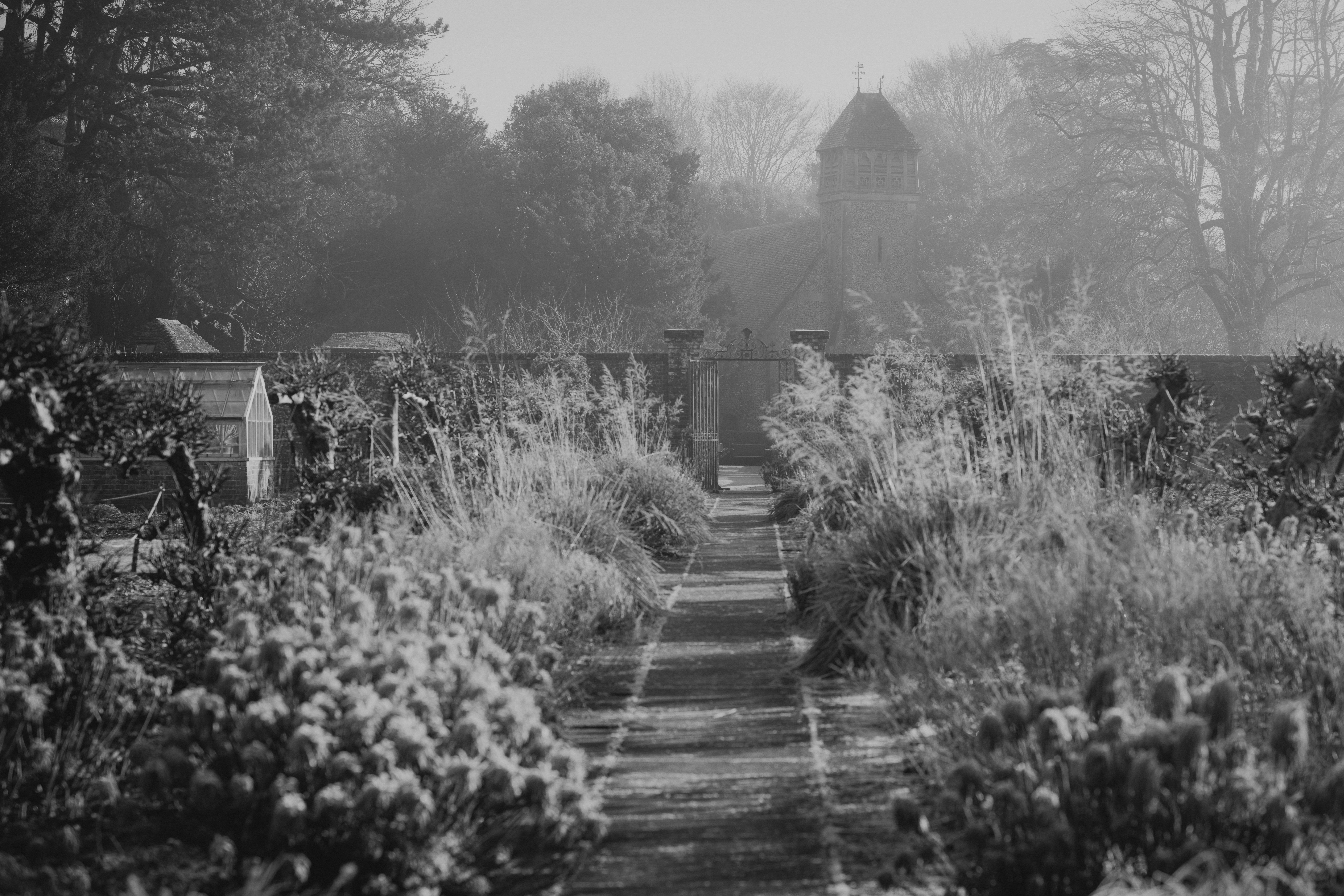 annie-spratt-xzU0THl_5MY-unsplash_sw
